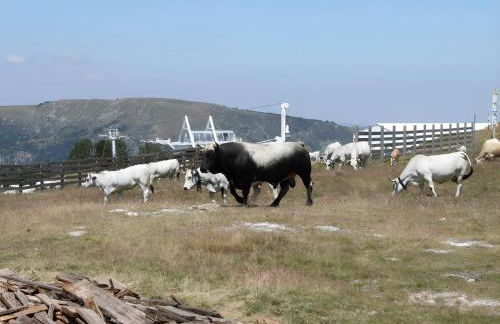 Studio 4 personnes au pied des piste plateau de Bonascre - Ax 3 domaines Eté Hiver - Foto 31