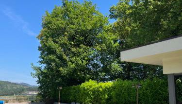 Bosque da Harmonia - Photo 4, sunbed, Garden view