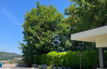 Bosque da Harmonia - Foto 4