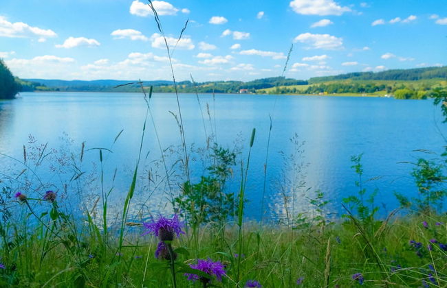 Ferienwohnung mit Sauna in Schonbrunn Thuringen - Photo 21