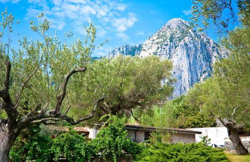 Pie' d'Ulivo - Foto 97