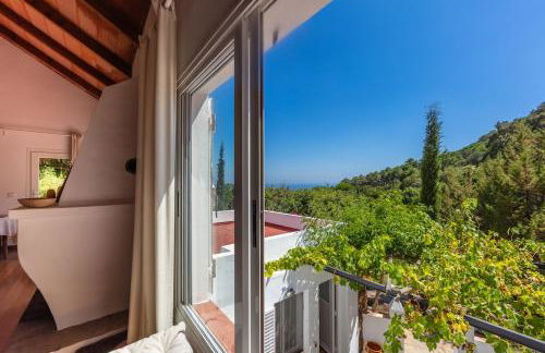 Casa Pájaro del Músico, Bolonia - Foto 19