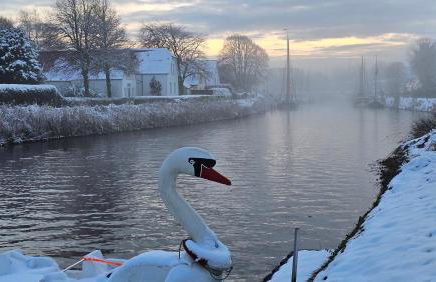 Finkennest Wolke 7 - Foto 30