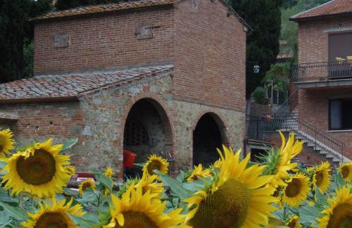 Podere La Capacciola - Photo 9