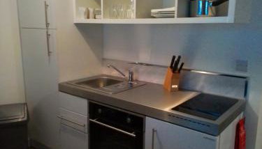 Apartment 13, Plants Yard - Photo 4, stove, pet friendly