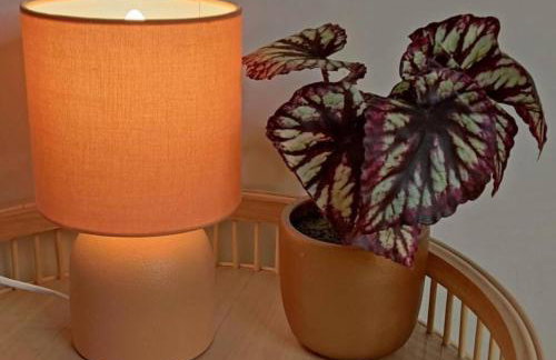 Dundee Beach Villa with Free Parking - Foto 29