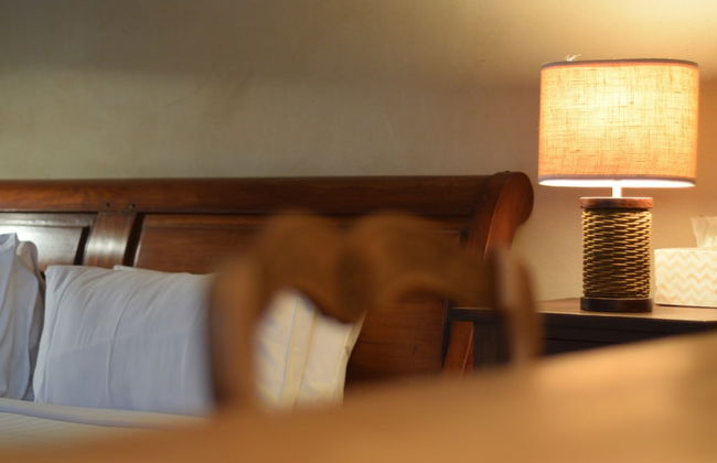 Brockman Park Estate - Foto 4