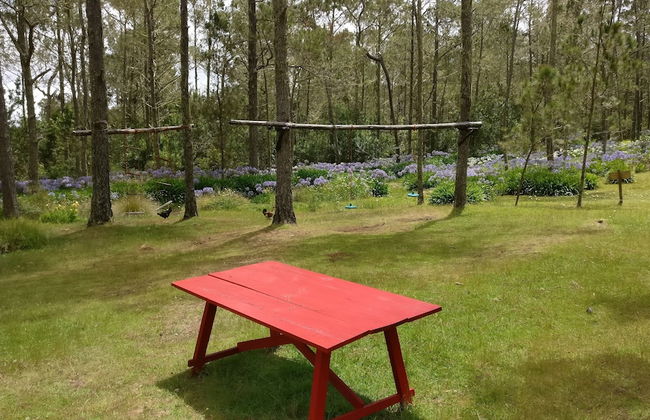 Villa Pajon Eco Lodge - Foto 57