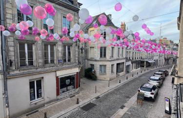 Les Nids De Laon Le Canari - Foto 43