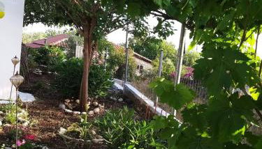 Maria's Home - Foto 3, Garden