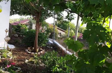 Maria's Home - Foto 3