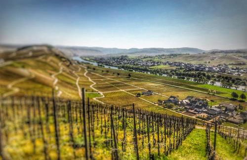 FeWo - EG Apartment Mosel- & Weinquartier, Terrasse, Parkplatz, moderne Küche bis 4 Personen - Foto 34