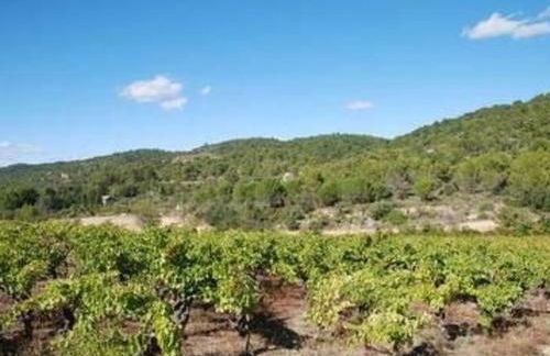 Apartment Die kleine Zikade by Interhome - Foto 22