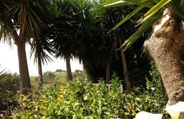 Monte Abaixo - Foto 20