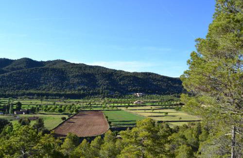 Mas de Salvador - Foto 34