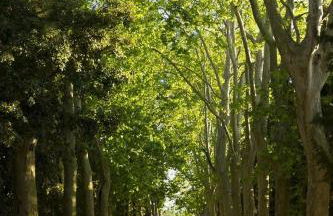 Château Pech-Celeyran - Foto 102