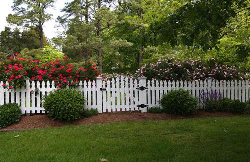 Captains Cove - Foto 63