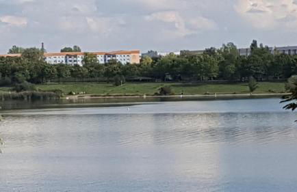 FeWo am Kulkwitzer See - Foto 24