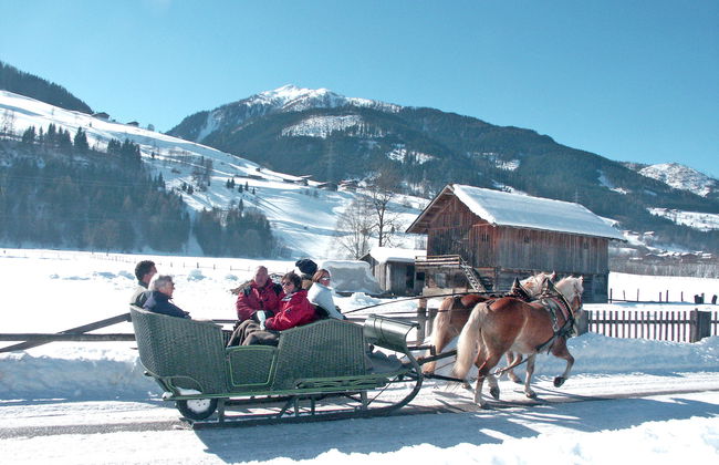 Angererhof - Foto 46