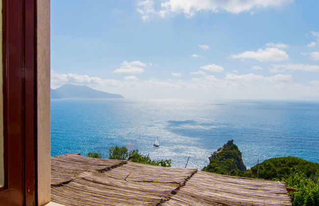 Giardino Caprese - Foto 23