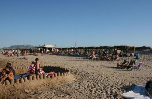 OLIVA HOLIDAYS 3 - Photo 31