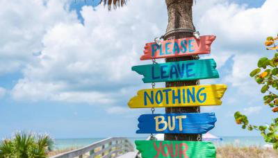 Madeira Bonita - Foto 5