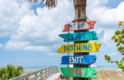 Madeira Bonita - Photo 5