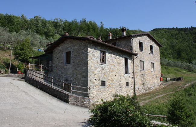 Le Chianine dei Tognoli - Foto 1