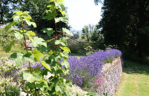 Slade Cottage - Foto 9