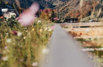 Ferienhaus WANDL mit Sauna und Fitness Studio - Foto 23