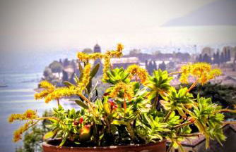 Residenza Christian - Foto 28