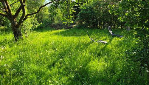 Naturnahes Wohnen in einem alten Haus mit Garten - Foto 4