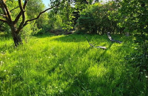 Naturnahes Wohnen in einem alten Haus mit Garten - Foto 4