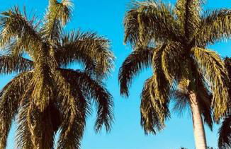 Lake House - Foto 24