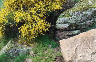 Tapada das Carvalhas - Foto 20