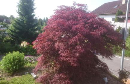 Ferienoase ENGEL - Foto 14