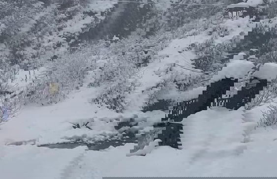 AĞARAN Wooden Houses - Foto 39