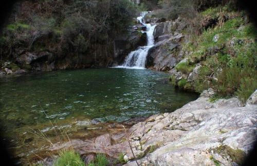 Cabanelas Country House - Casa do Afonso - Foto 38