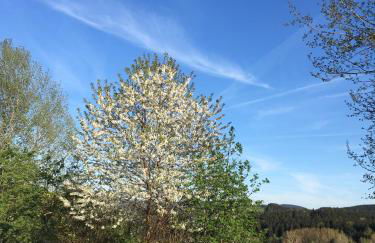 Ferienwohnung Paul Schwarzenberg - Foto 15