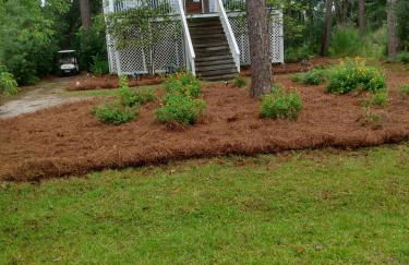 Beach Haven, 600 feet from the Beach !! - Foto 7