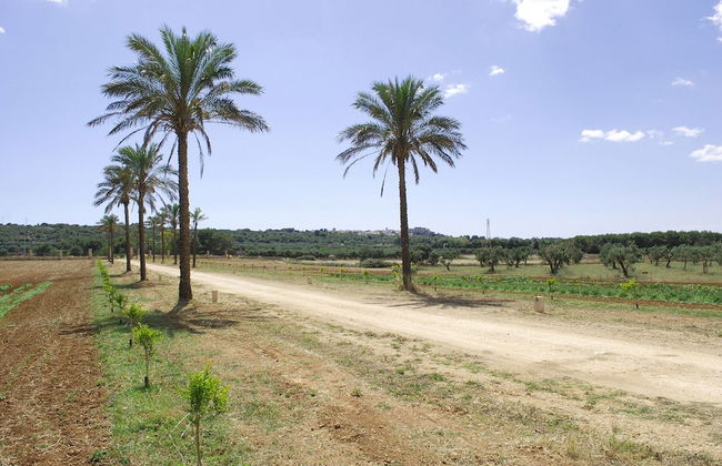 Agriturismo Masseria Galatea - Photo 8