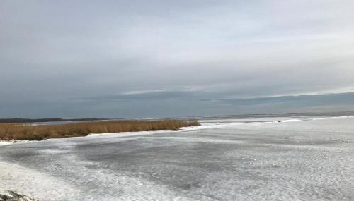 Haus Meerschilf - Foto 3