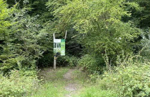 Erlachoase - Photo 53