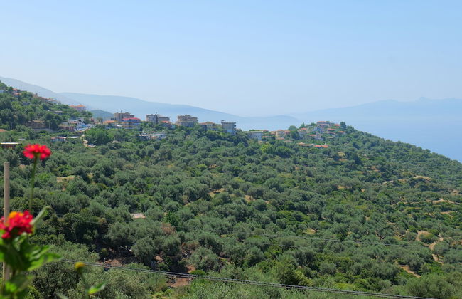 Vila Panorama - Foto 19
