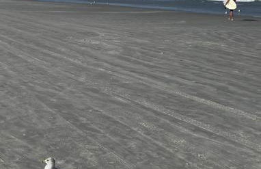 Ocean Beach Club - Foto 19