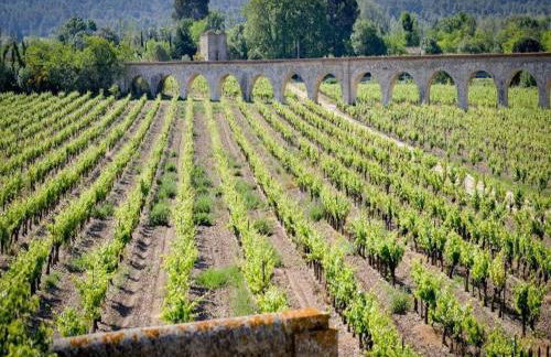 Residence du Chateau de Jouarres, Azille - Studio 2 Pers. With Balcony - Foto 62