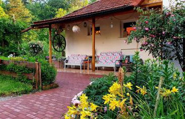 Agroturystyka Stara Huta - Foto 30