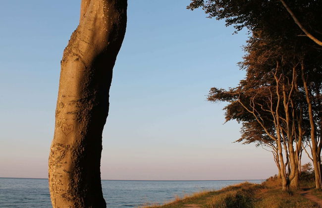 Sunny Holiday Home With Fenced Garden - Foto 13