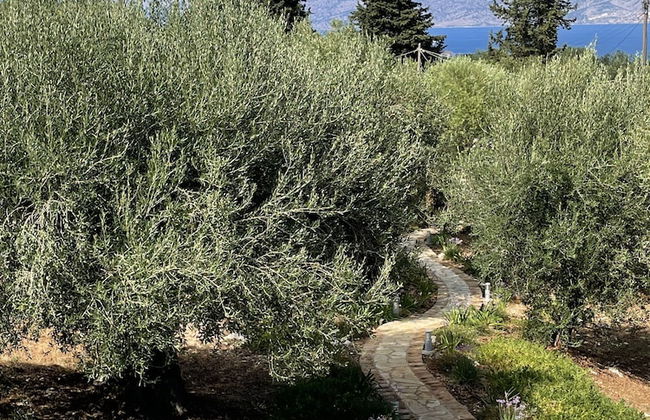 Villa Nisi - Foto 27