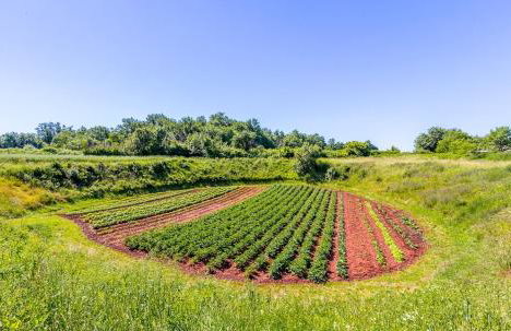 House Grande - Foto 25